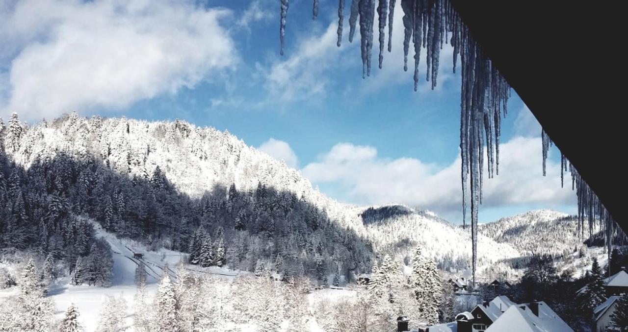 Hotel Grossbach Menzenschwand-Hinterdorf Екстериор снимка