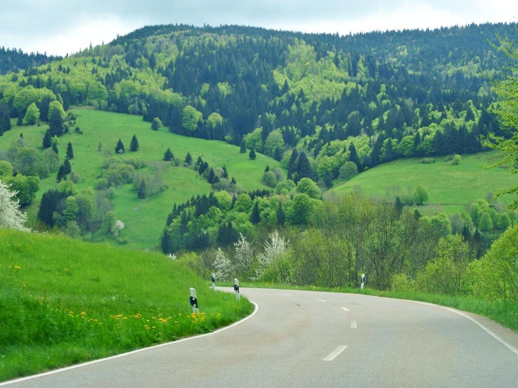 Hotel Grossbach Menzenschwand-Hinterdorf Екстериор снимка