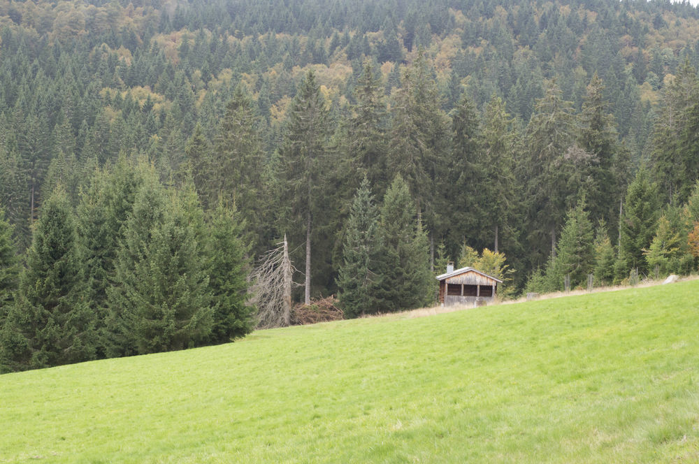Hotel Grossbach Menzenschwand-Hinterdorf Екстериор снимка