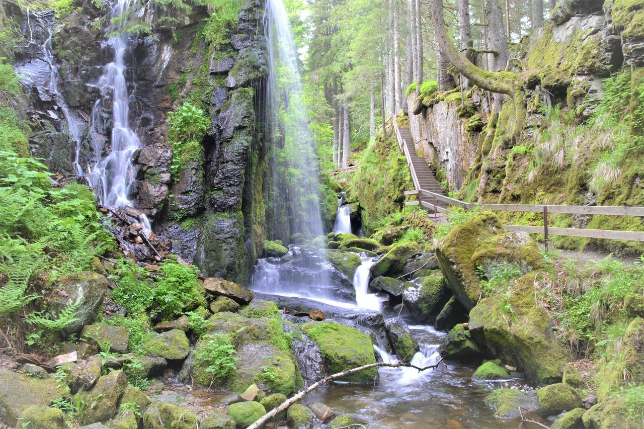 Hotel Grossbach Menzenschwand-Hinterdorf Екстериор снимка